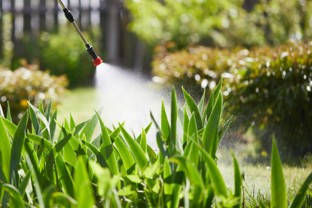 24/7 Emergency Fumigation Services experts in Oakland, OK