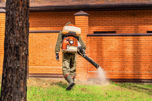 Trusted Cockroach Control service in Oakland, OK - Nex Pest Control